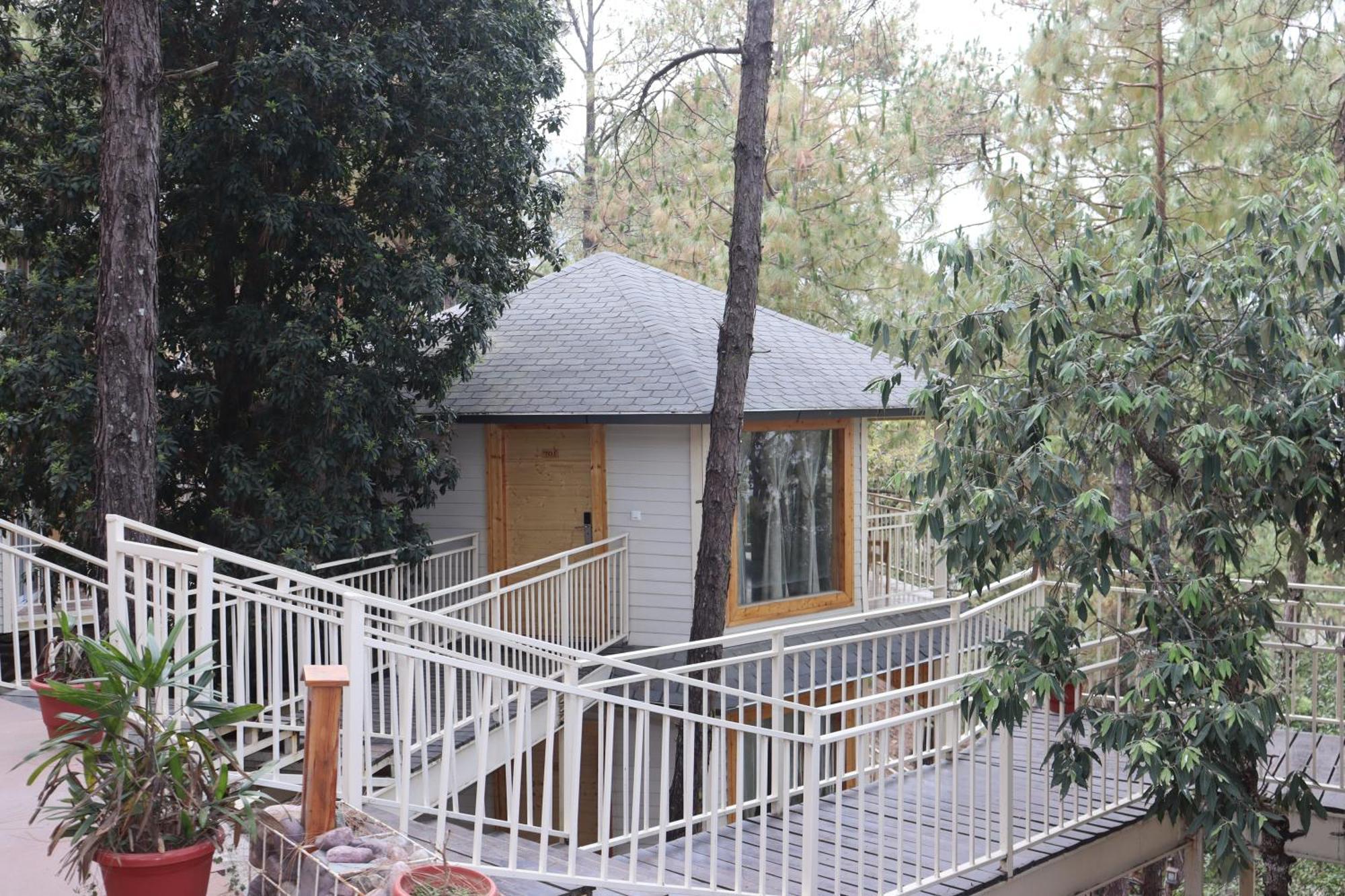 The Woods Retreat Hotel Lansdowne Exterior foto